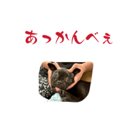 838002655
