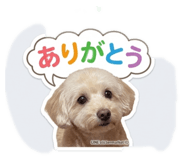 838003485