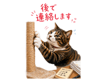 838004641