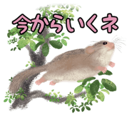 838006102