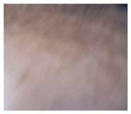 838008246