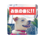 838008319