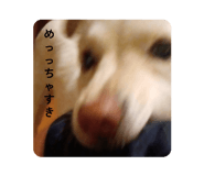 838008331