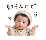 838008455