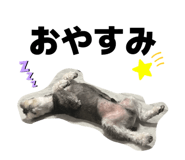 838010171