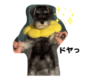 838010202