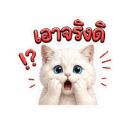 838012587