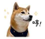838013080