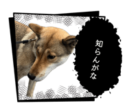 838014033
