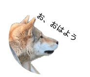 838014034