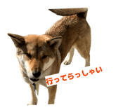 838014035