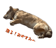 838014036