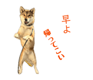 838014039