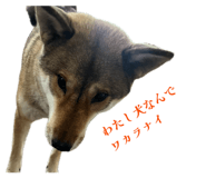 838014041