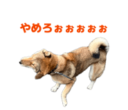 838014044