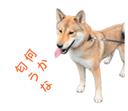 838014045