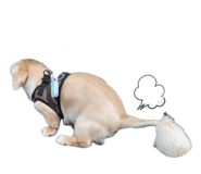 838015615