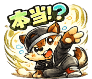 838017064