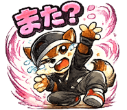 838017065