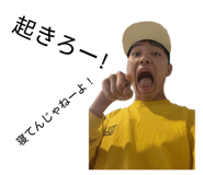 838017666
