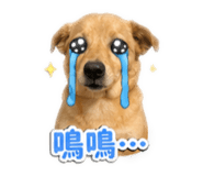 838018222