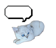 838019041