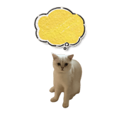 838019044