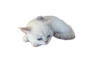 838019045