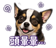 838020023