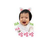 838020238