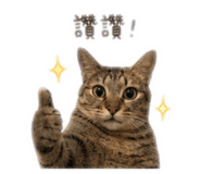 838020925
