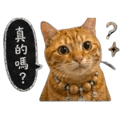 838024553