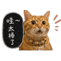 838024554