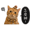 838024556