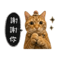 838024563