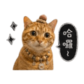 838024568