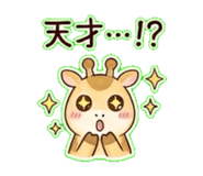838027061