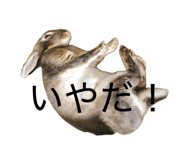 838027148
