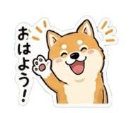 838027241