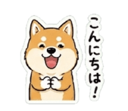 838027242