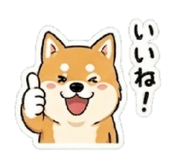 838027244