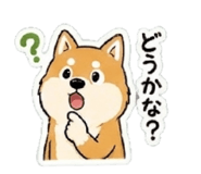 838027248