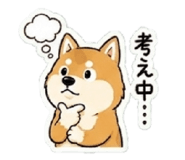 838027250