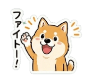 838027253