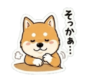 838027263