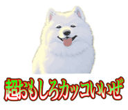 838027347