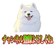 838027355