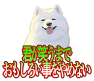 838027357