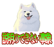 838027361