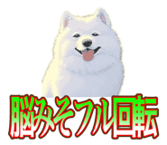 838027362